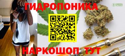 индика Ипатово