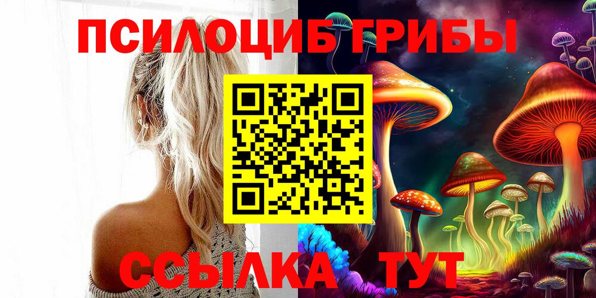 Галлюциногенные грибы прущие грибы  Псилоцибиновые грибы Cubensis  Истра  что такое   Вход с VPN 